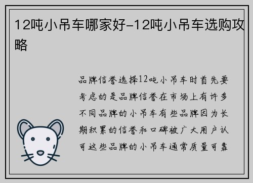 12吨小吊车哪家好-12吨小吊车选购攻略